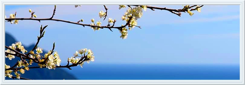 LIGURIA