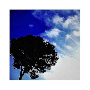 ARBRE en aquatinte