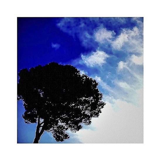 ARBRE en aquatinte