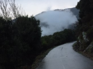 Brume Brume