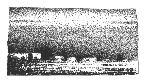  linogravure