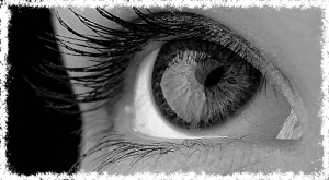 OEIL