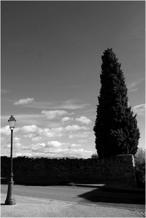 ABSENCE 