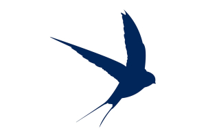 Swallows-3608071_1280