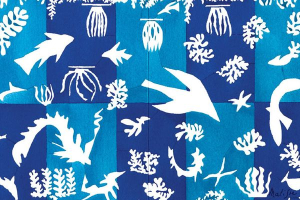 MATISSE 