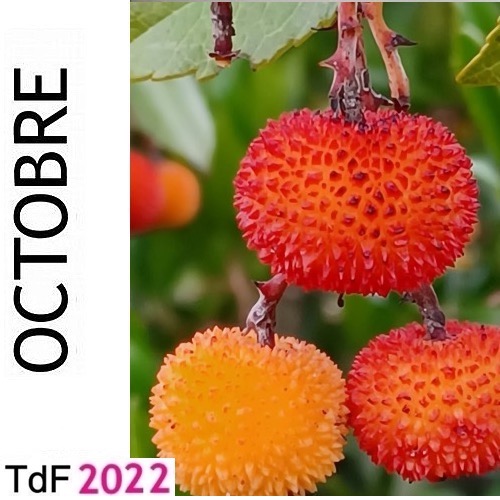 TdF Octobre 2022