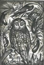 Hibou chambon