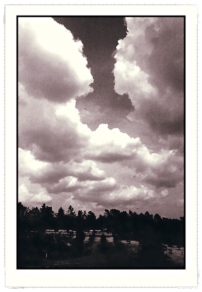 ORAGE SEPIA 