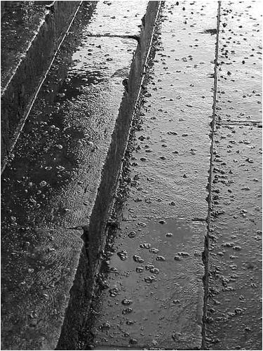 PLUIE