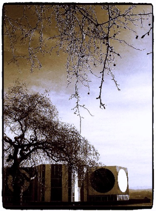 ARBRES