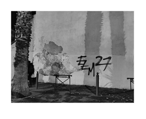 Poésie d'un jour