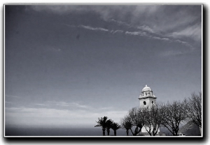 CANARI IN VERANU(1)
