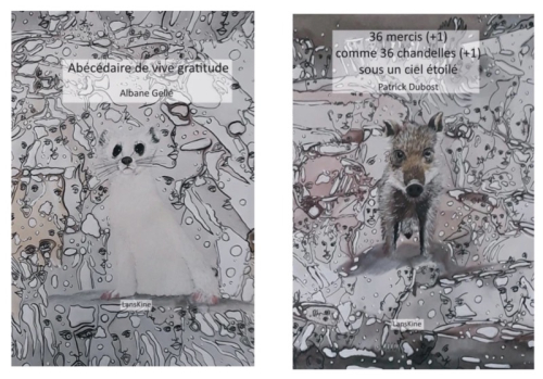 Collage(1)