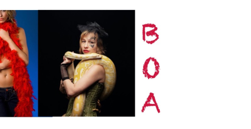 BOA
