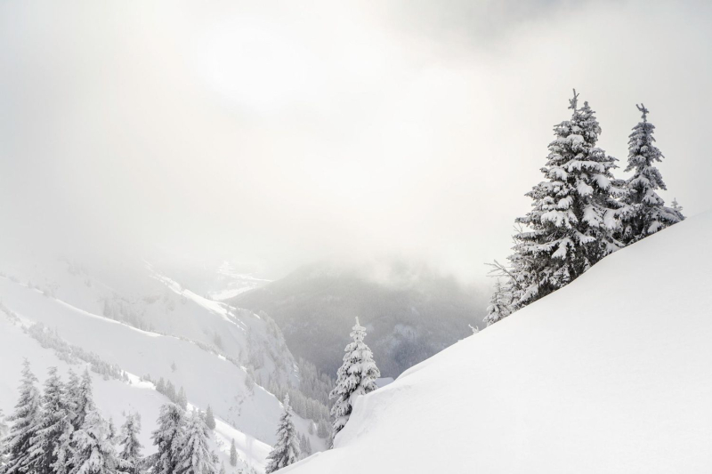Neige blanche 