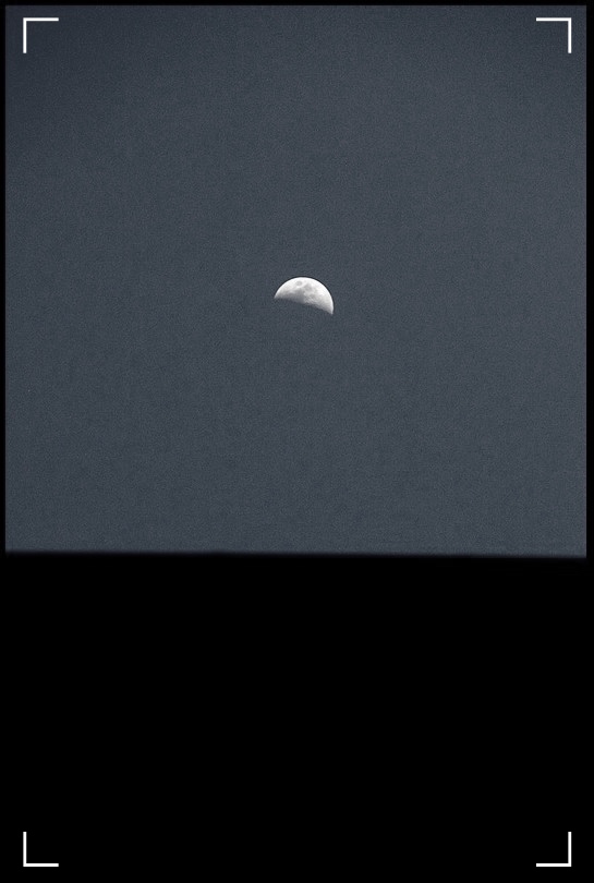 LUNE-COINS