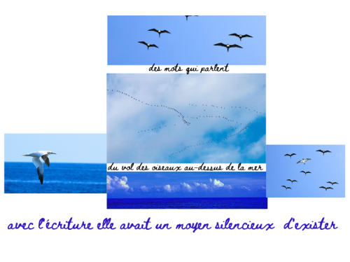 Collage(1)(2)