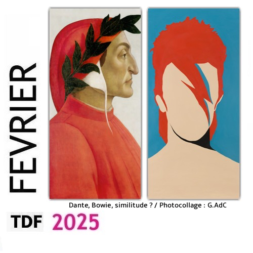 TDF FEV 2025