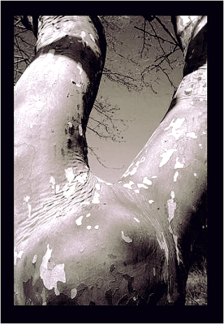 ARBRE-CORPS(1) ARBRE-CORPS(1)