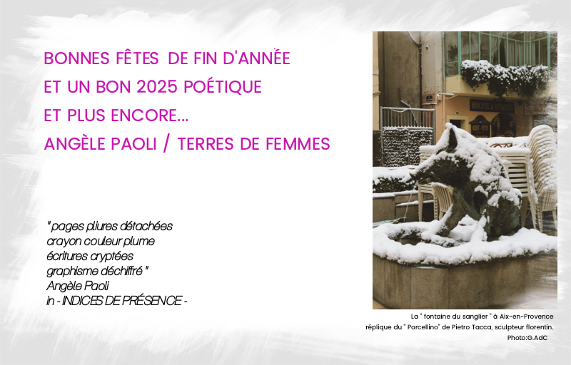 VOEUX 25