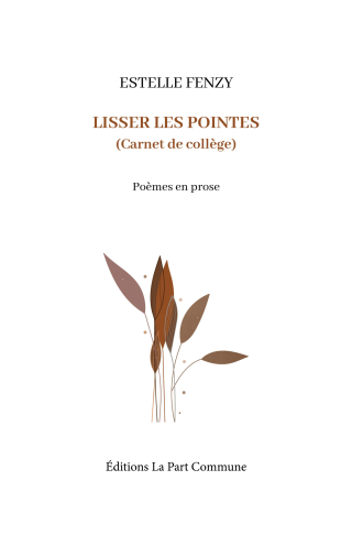 1ere-de-couverture-FENZY_Lisser-les-pointes-scaled