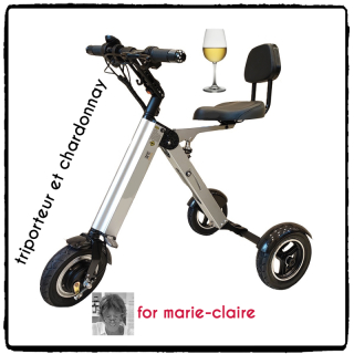 TRIPORTEUR(2)