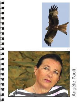 ANGÈLE