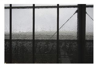 PLUIE 