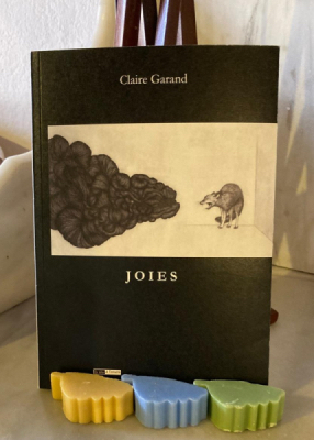 JOIES(1)(1)