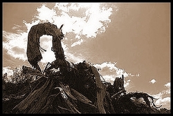 01_lesprit_des_mazzeri