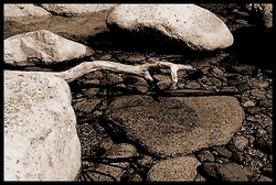 04_la_part_sauvage_de_sa_personne__1