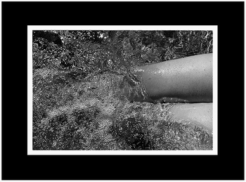 13_dans_leau_vive_lola_