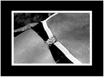 15_la_boucle_du_soutien_gorge_de_mireill