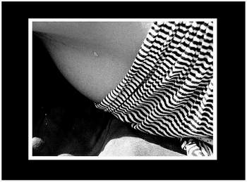 16_la_cuisse_de_sylvie