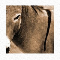 Croisire_20_2