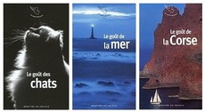 Chats_mer_corse