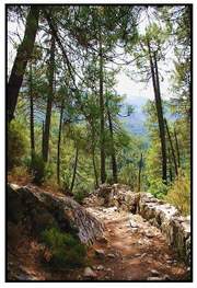 Je suis encore sur le chemin Je_suis_encore_sur_le_chemin_1
