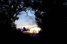 Entre_le_dbord
