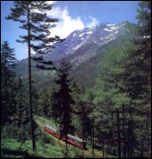Le_train_a_vizzavona_en_haut_le_mon