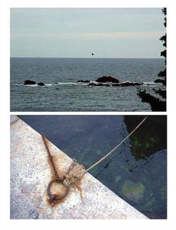 Loiseau_lhaut_cest_toi_3