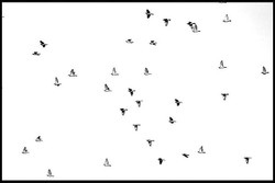 Partition_onirique