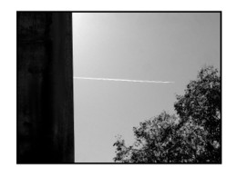 Son cri dans l'espace céleste Son_cri_dans_lespace_cleste_2