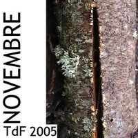 11logo_novembre_2005
