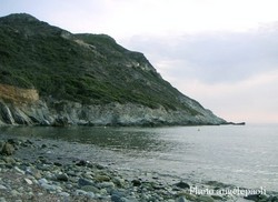 Giottani_2