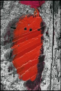De l'écorce à la Corse Il_ne_dit_pas_un_mot1_il_tait_mort