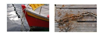 La_barque_1le_bois_