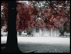 La_cour_interieure_du_duch_duzes_octobre