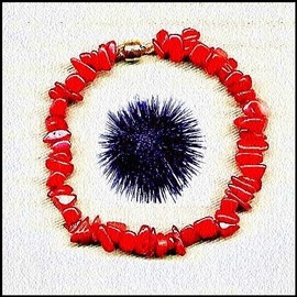 La dentelle de son étoile orange et noire La_dentelle_de_son_toile_orange_et_noire