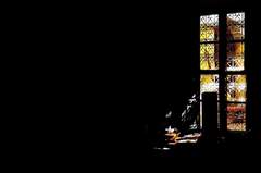 La_dernire_ombre_o_il_avait_trouv_refuge