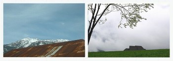 La_grappe_des_montagnes_de_branche_en_br